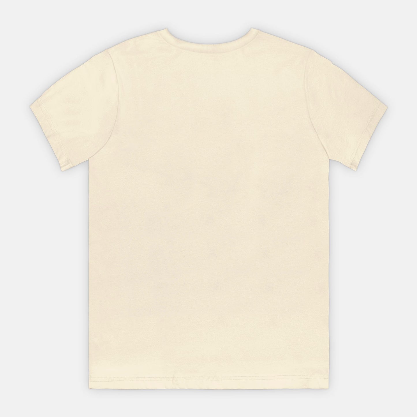 Nice List Adult Tee (B)