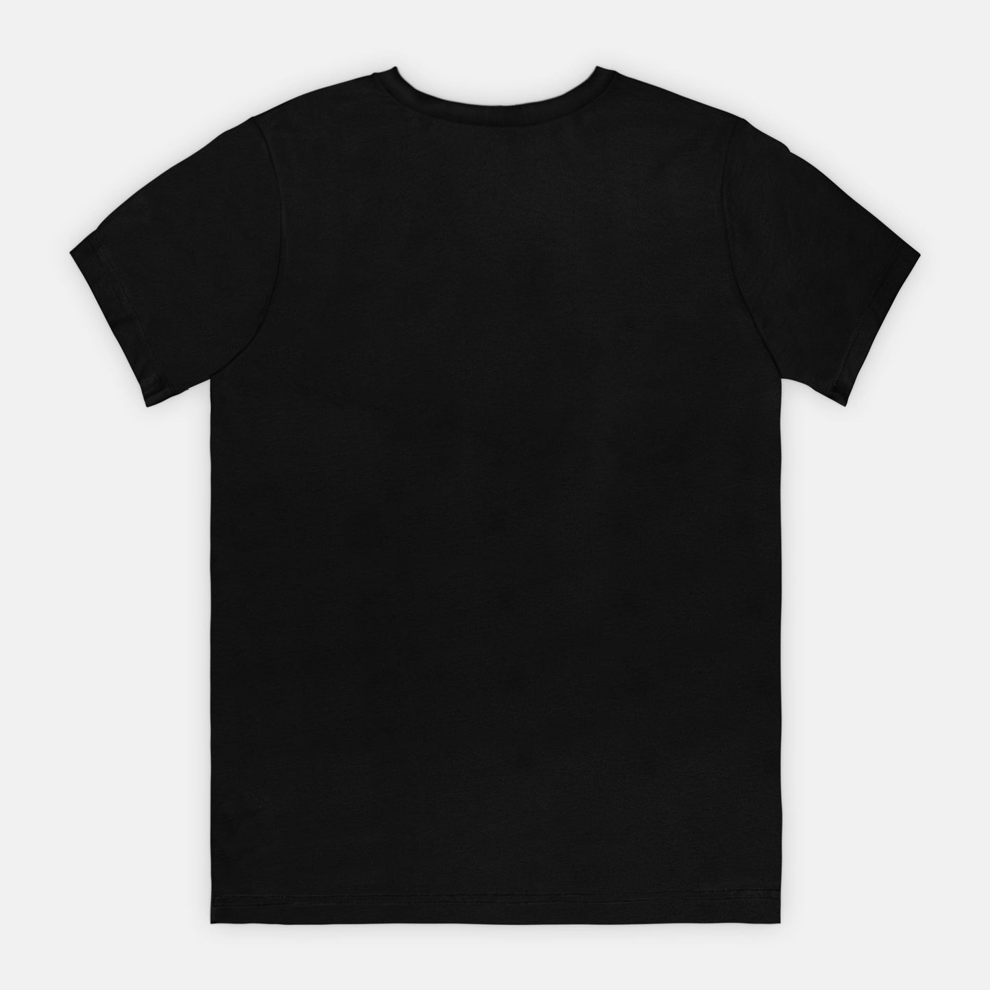Nice List Adult Tee (W)