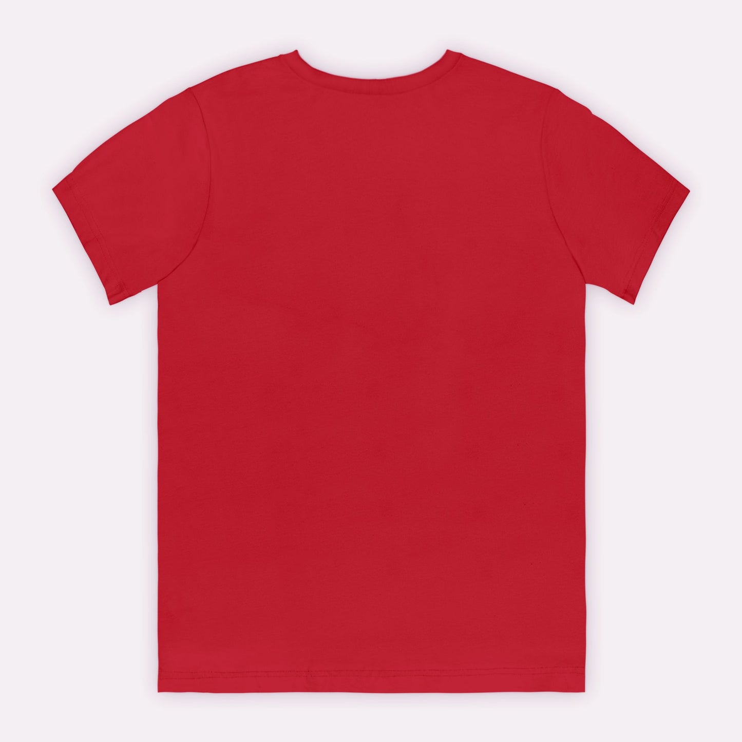 Nice List Adult Tee (B)
