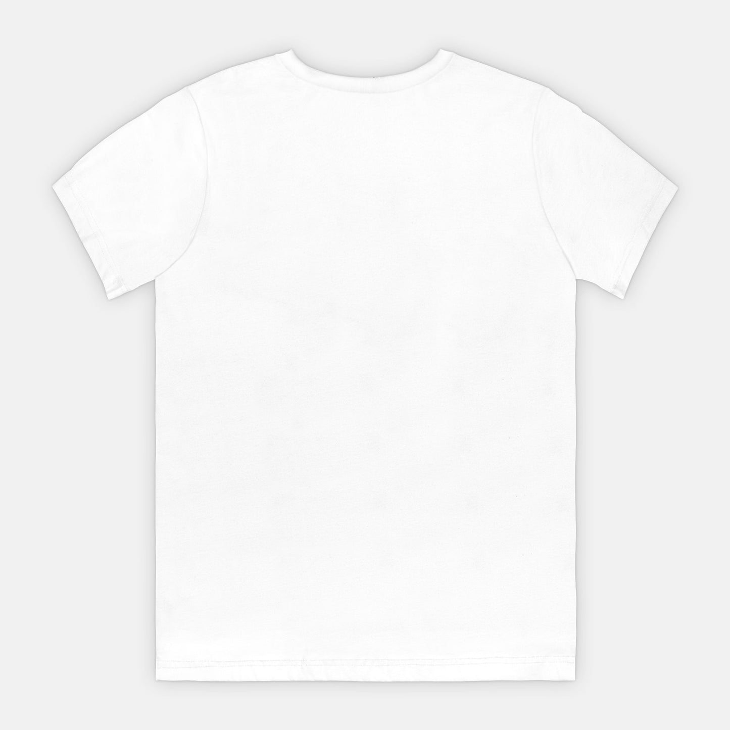Nice List Adult Tee (B)