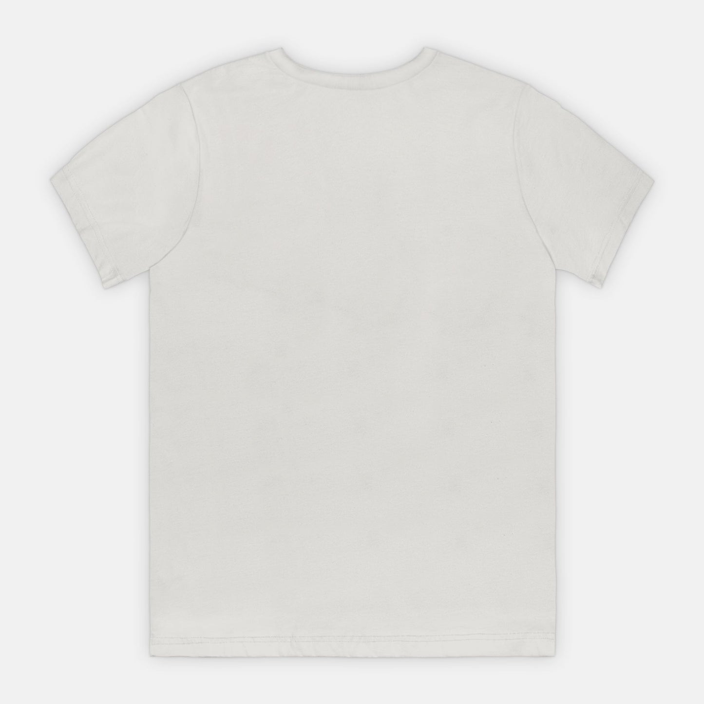 Nice List Adult Tee (B)